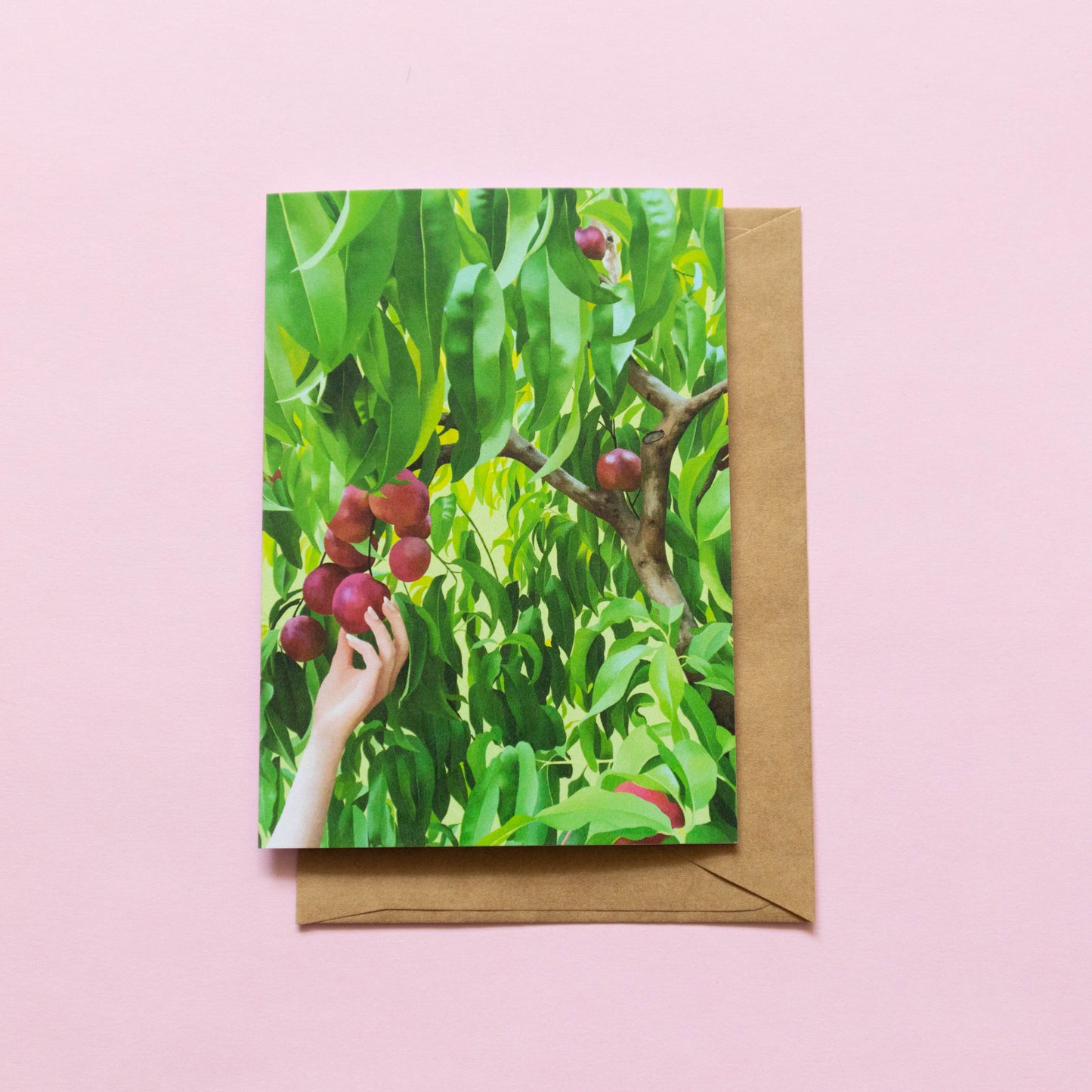 greeting card - ripening nectarines