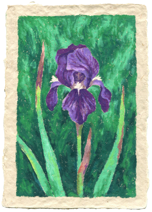 oil pastel mini #1 - framed original