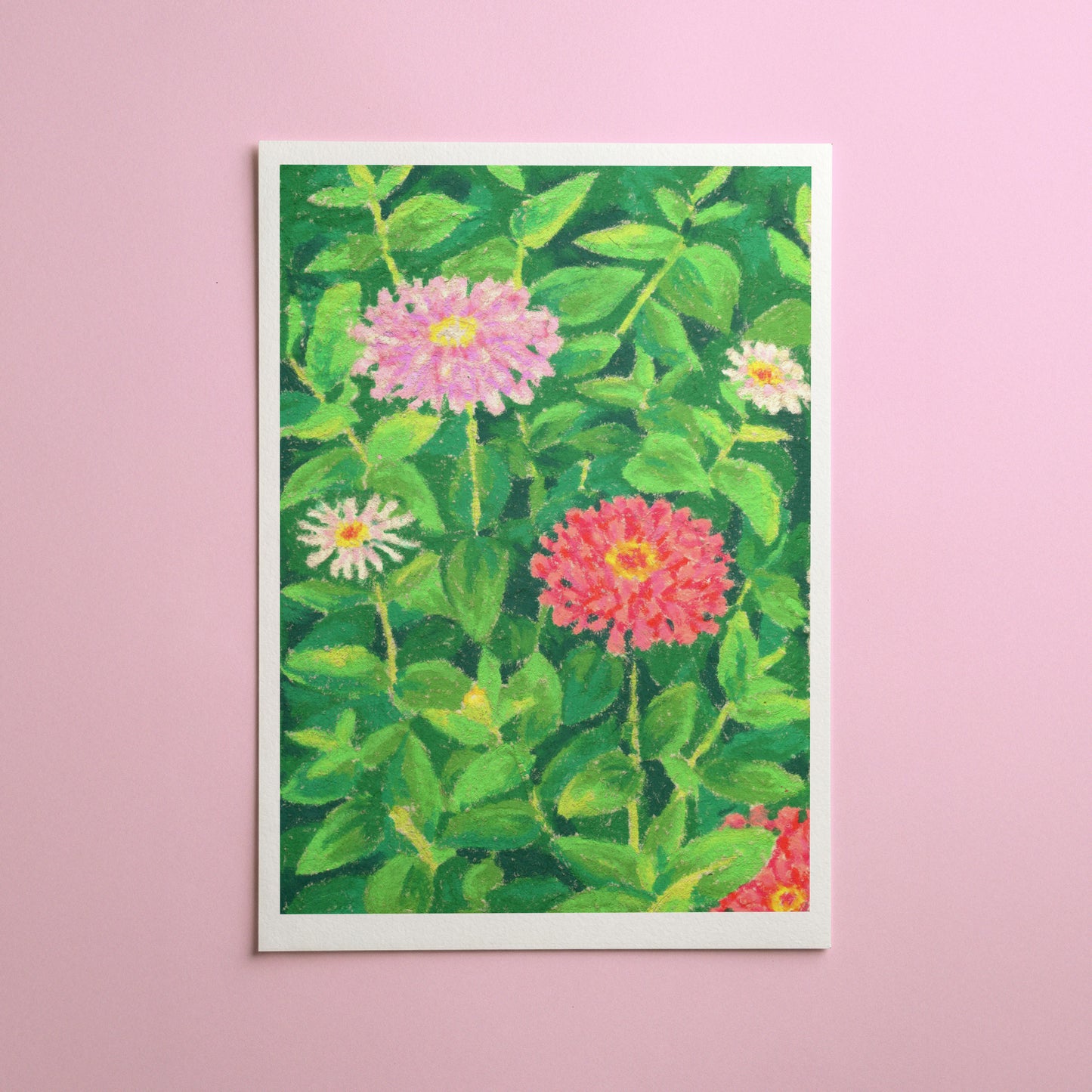 oil pastel zinnias - art print
