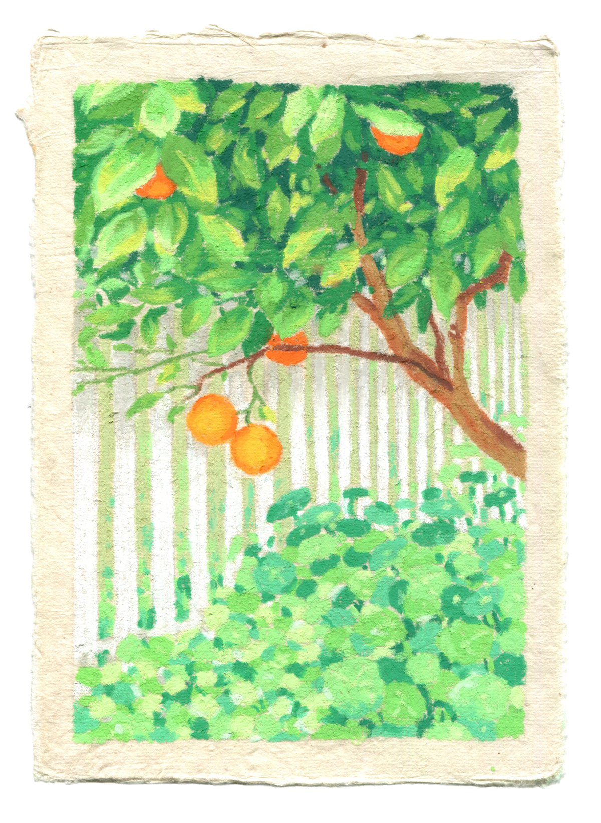 oranges by the picket fence - original