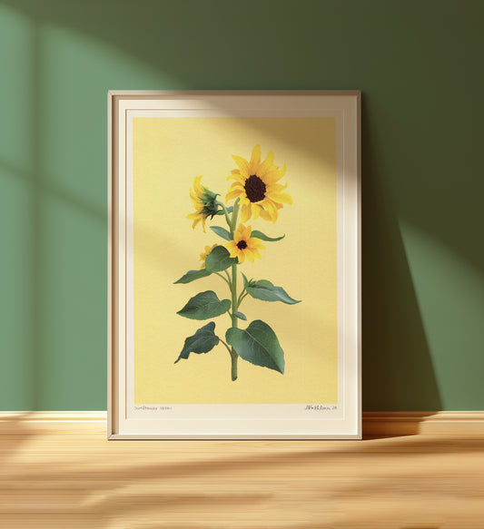 sunflower stem - art print
