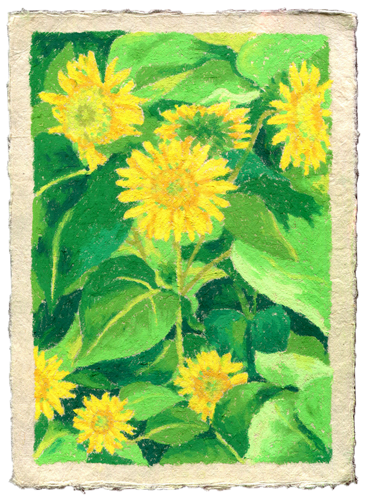 oil pastel sunflowers - framed original