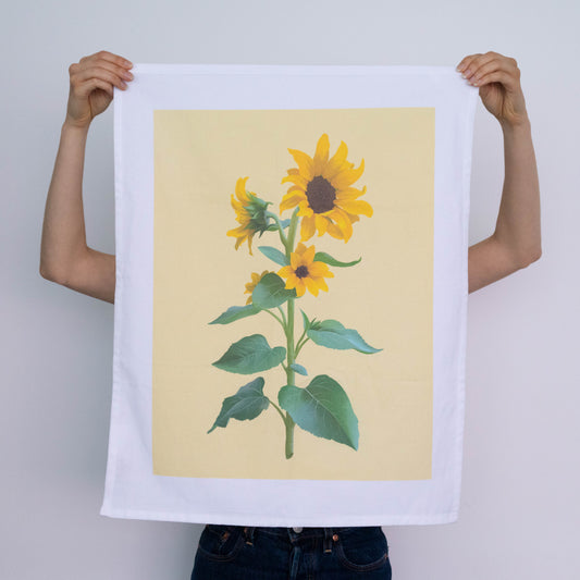 organic cotton tea towel - sunflower stem