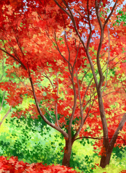 flaming foliage - art print