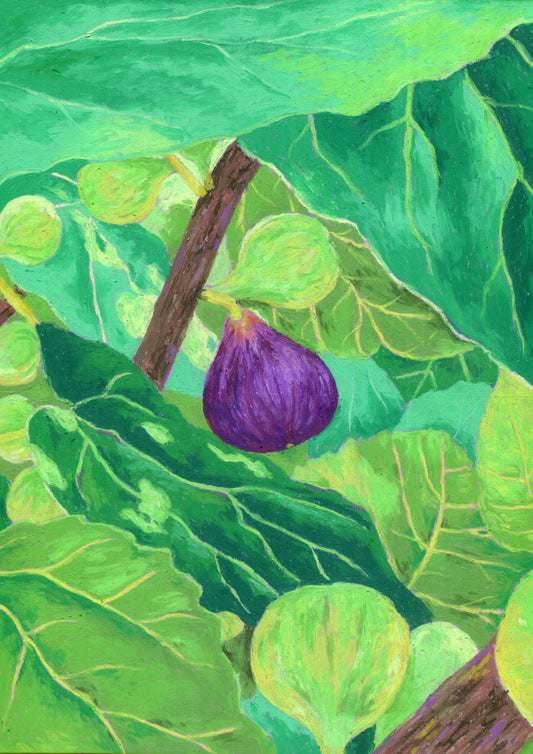 the first fig - art print