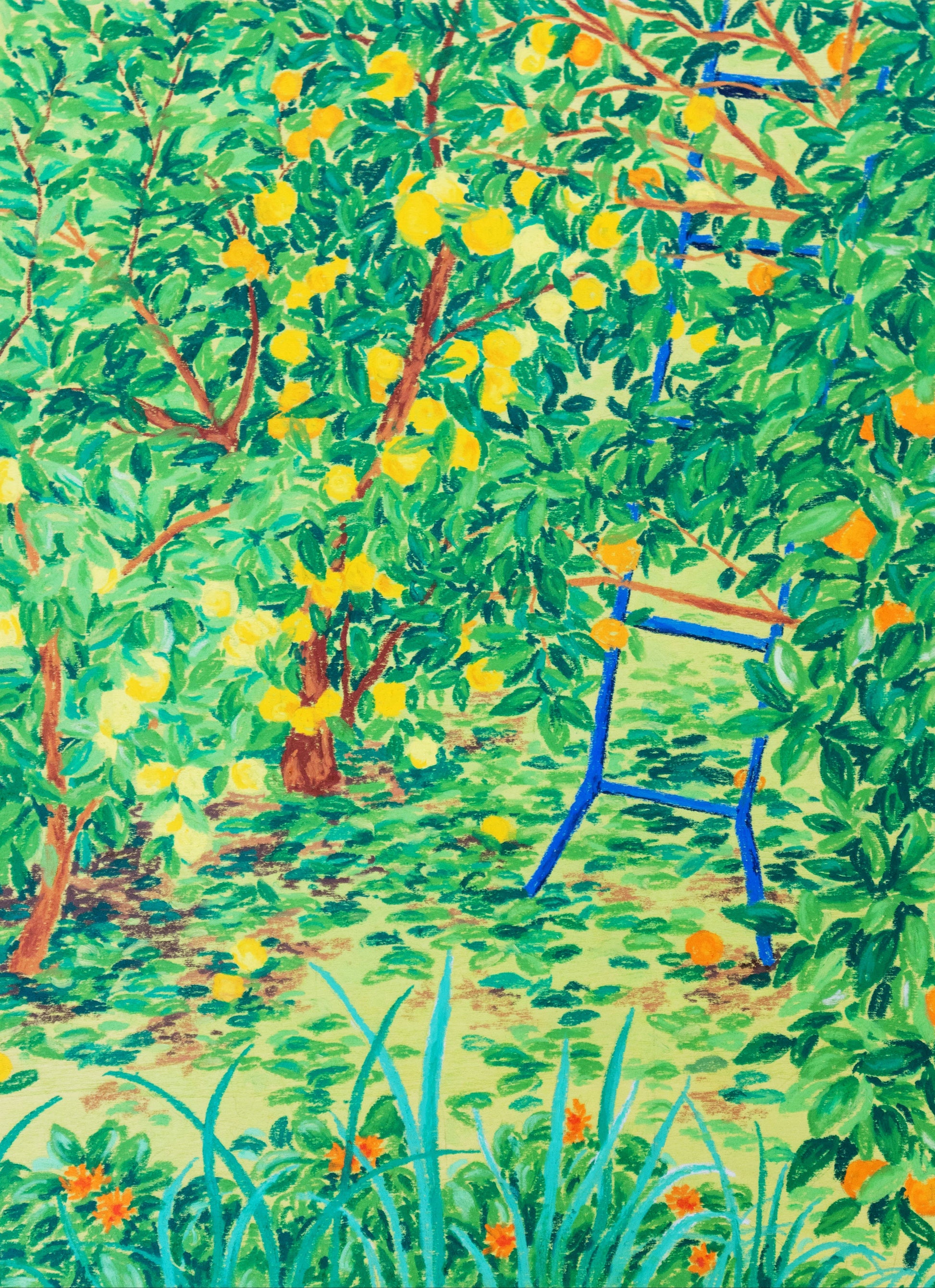 This image displays an art print titled "Winter Pruning," which features a vibrant depiction of a citrus grove in winter. The artwork, an art print of an original oil pastel illustration, captures the lively green of the citrus leaves contrasted against the bright yellow of the fruit, with a whimsical blue ladder positioned among the trees.