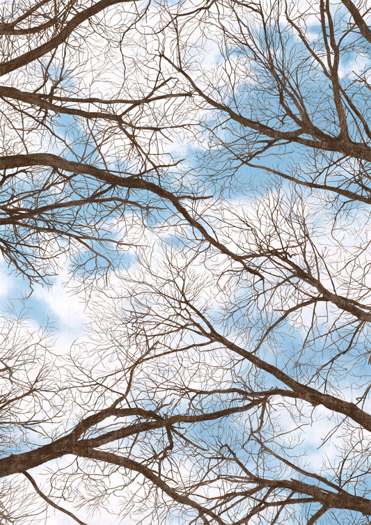 winter trees - art print