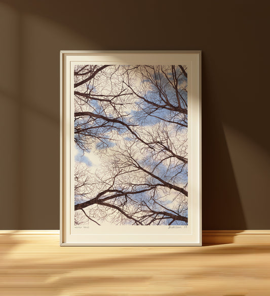 winter trees - art print