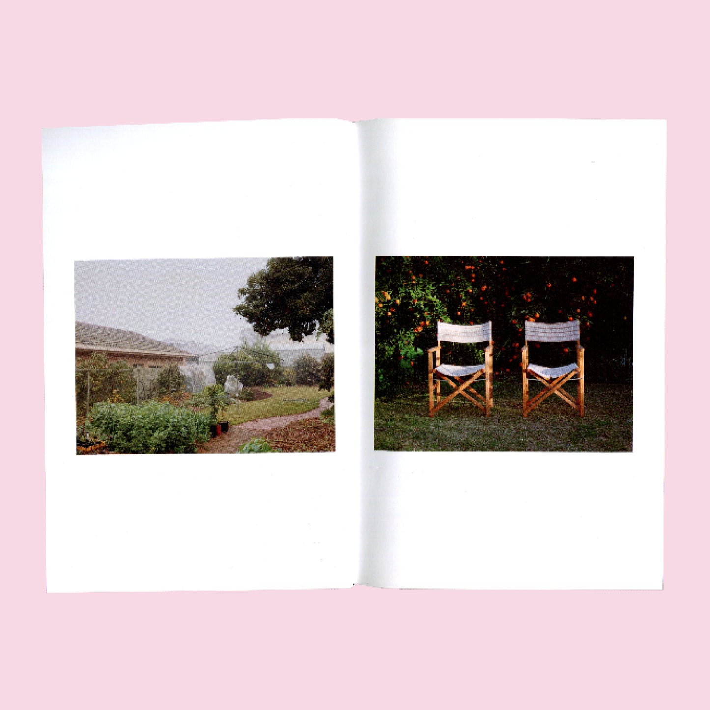 growing place - photo zine