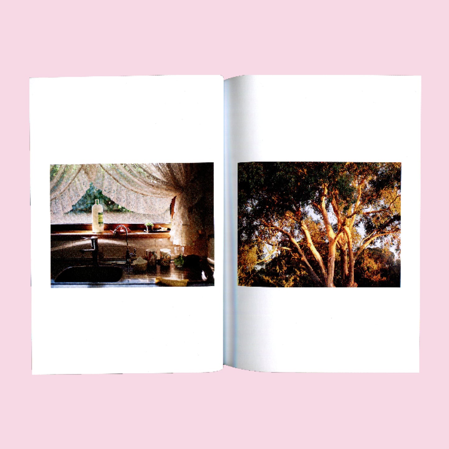 growing place - photo zine