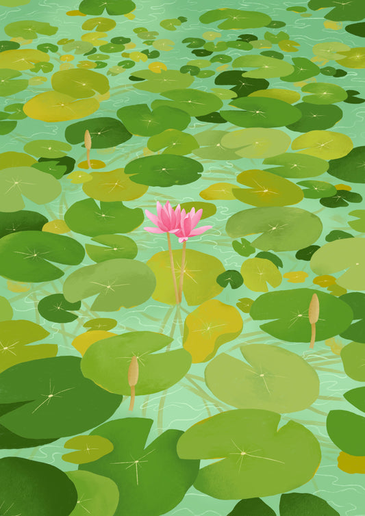 so the lily blooms - art print
