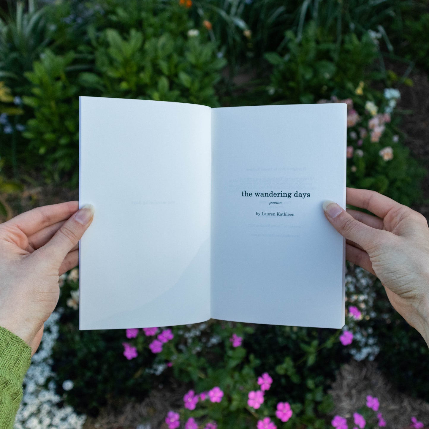 the wandering days - poems