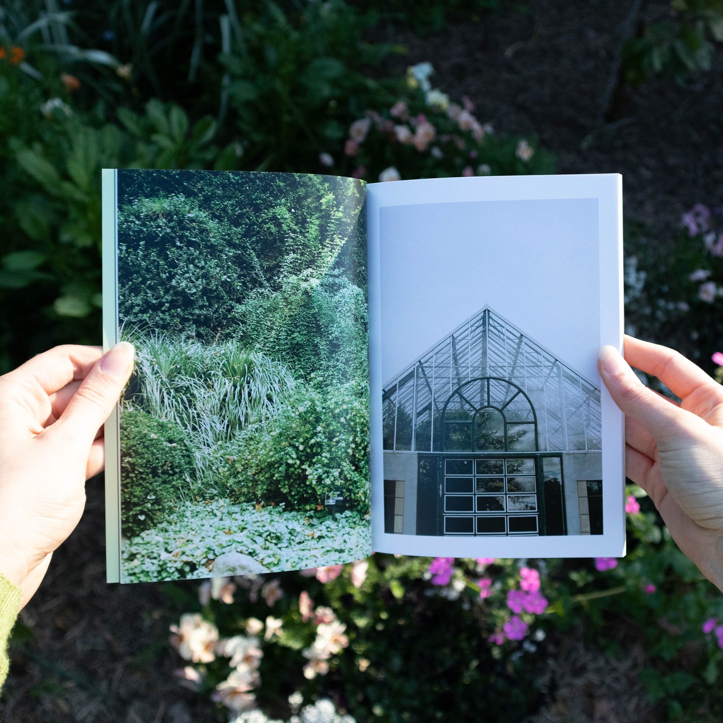 the world is so much bigger than me - photo zine