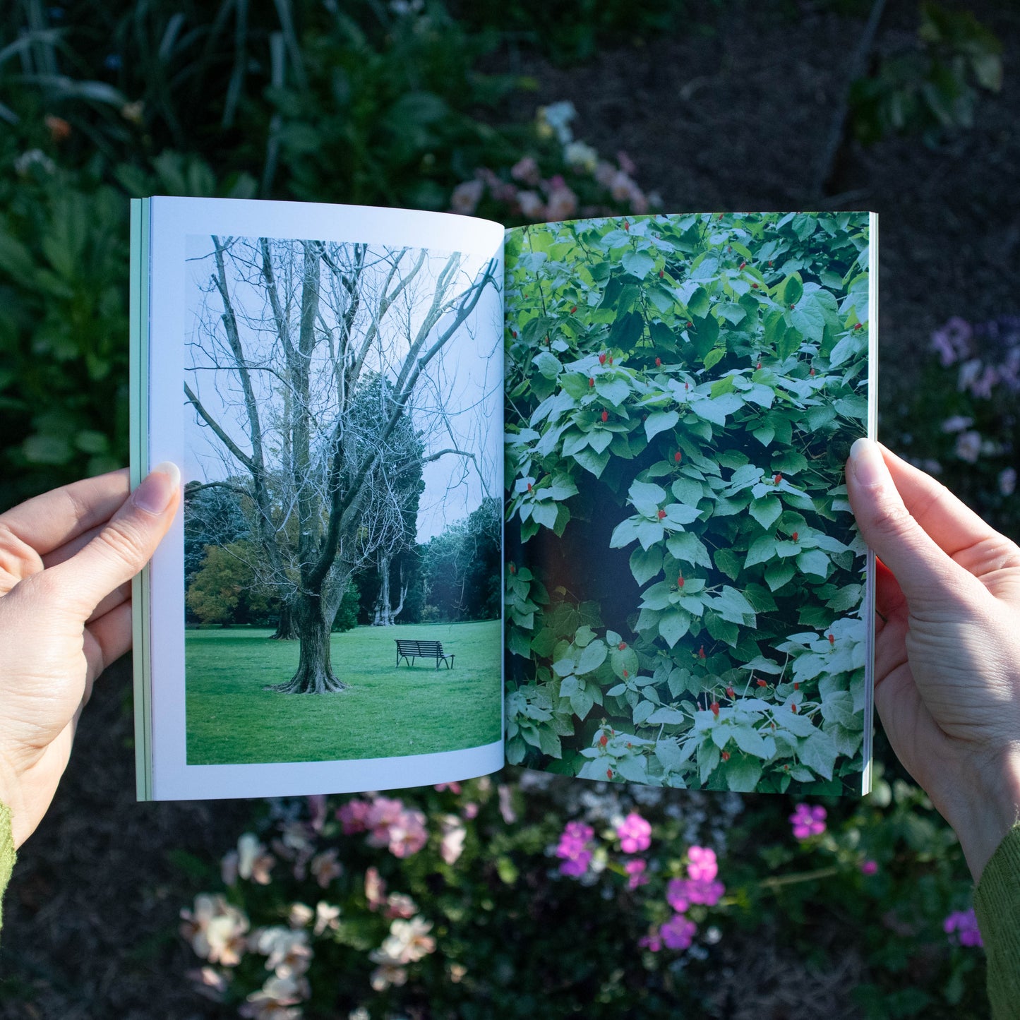 the world is so much bigger than me - photo zine