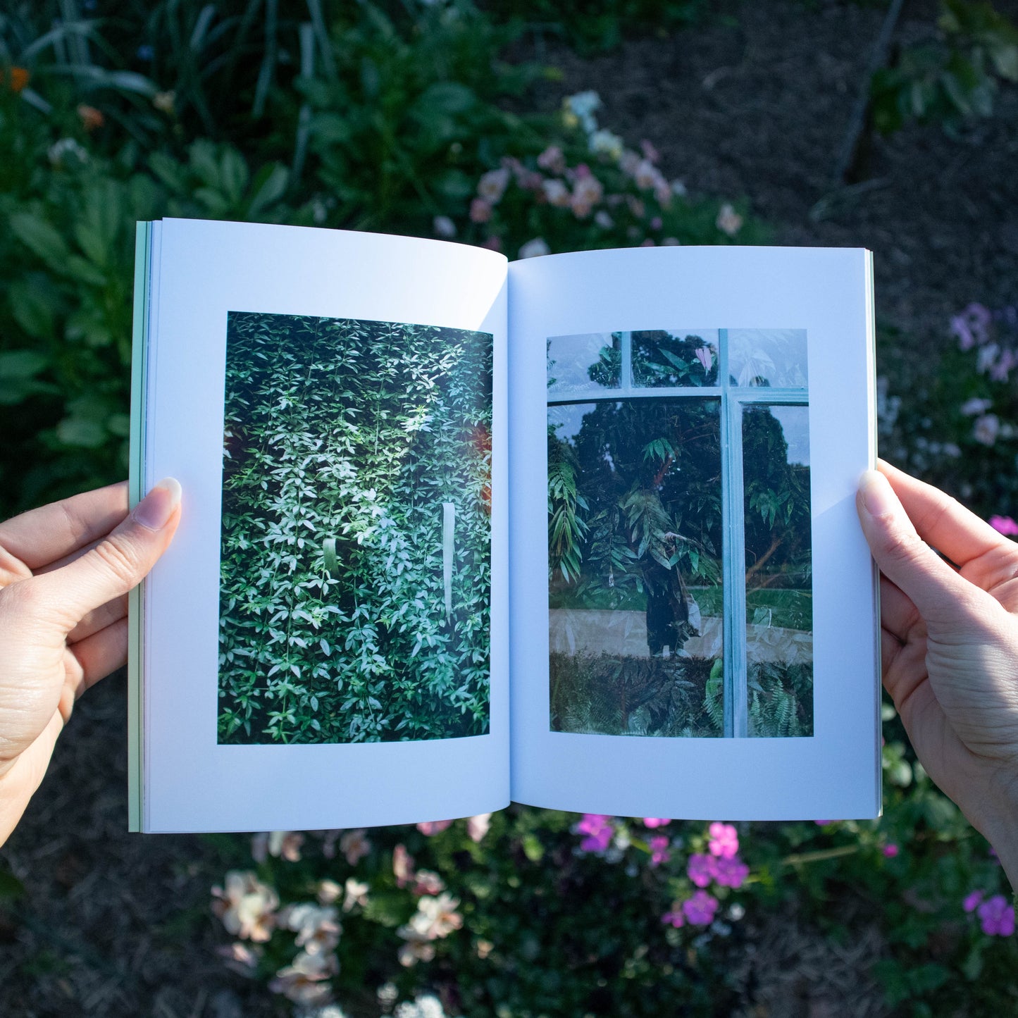 the world is so much bigger than me - photo zine