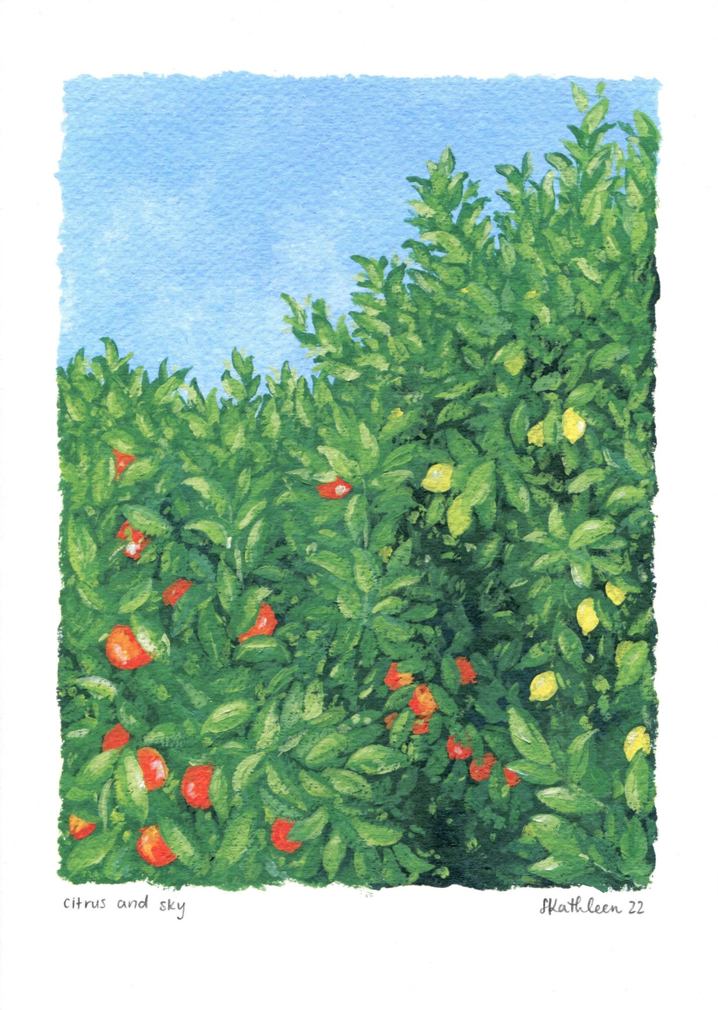 citrus and sky - art print