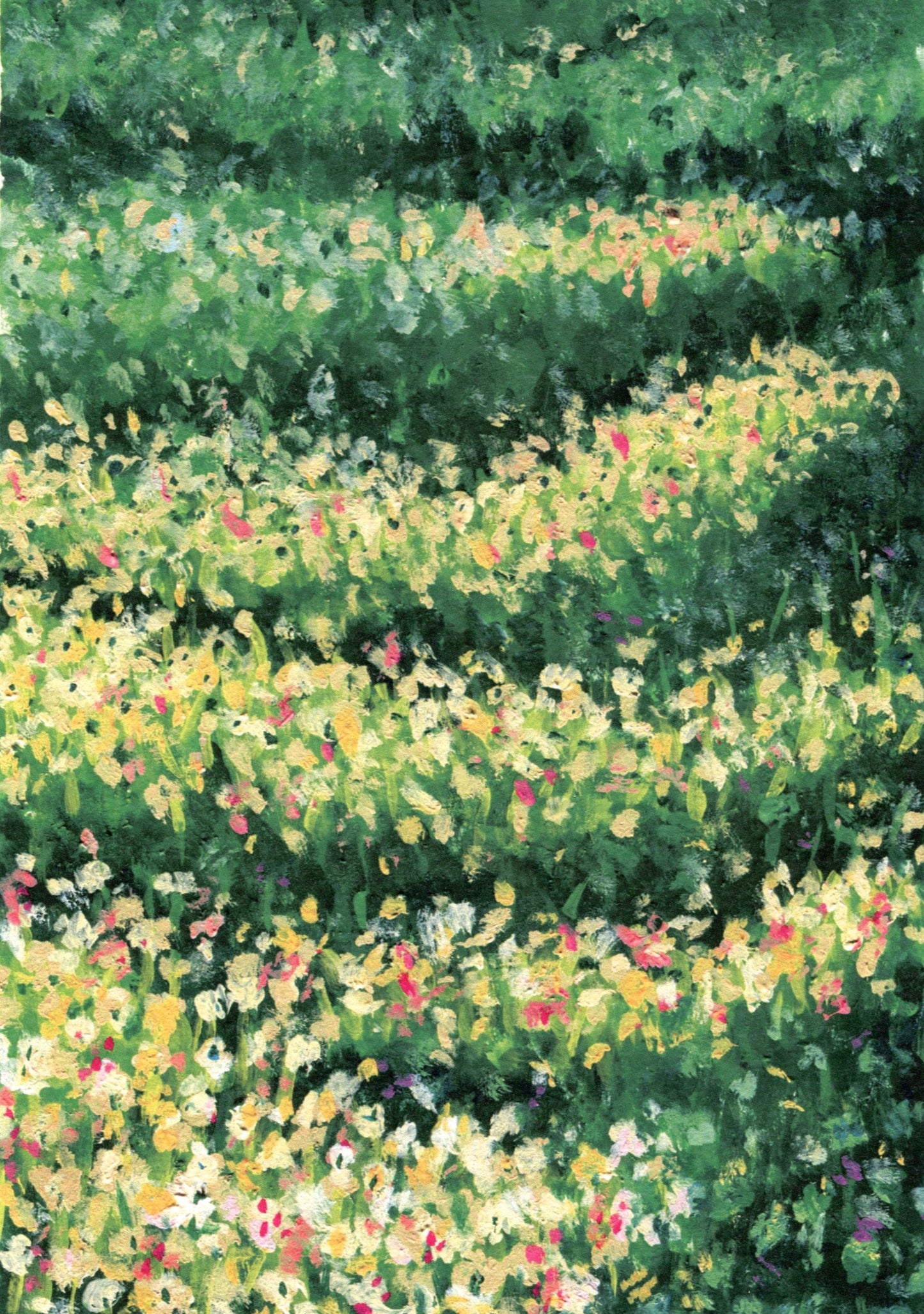 sunlit field - art print