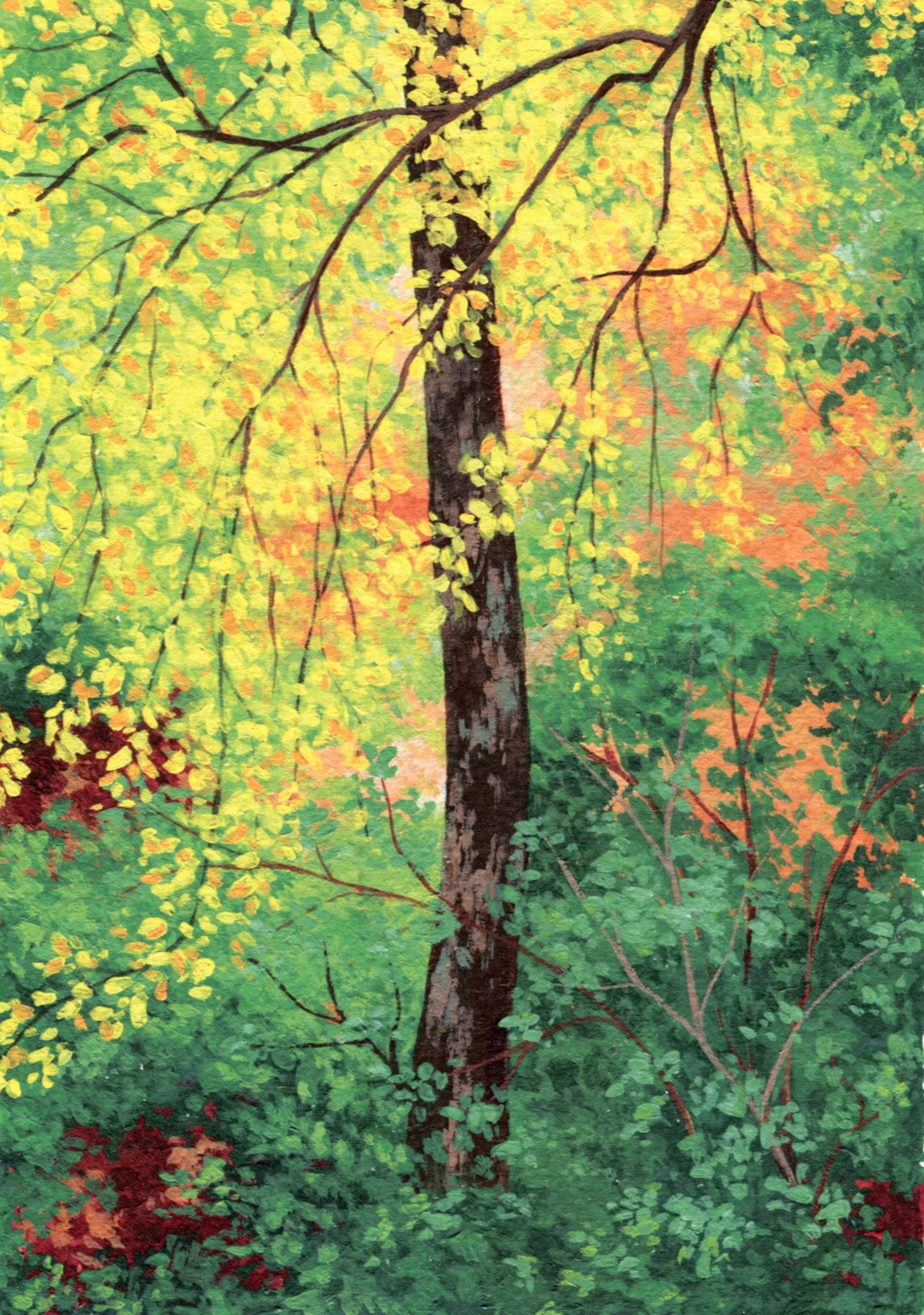 autumn glade - art print