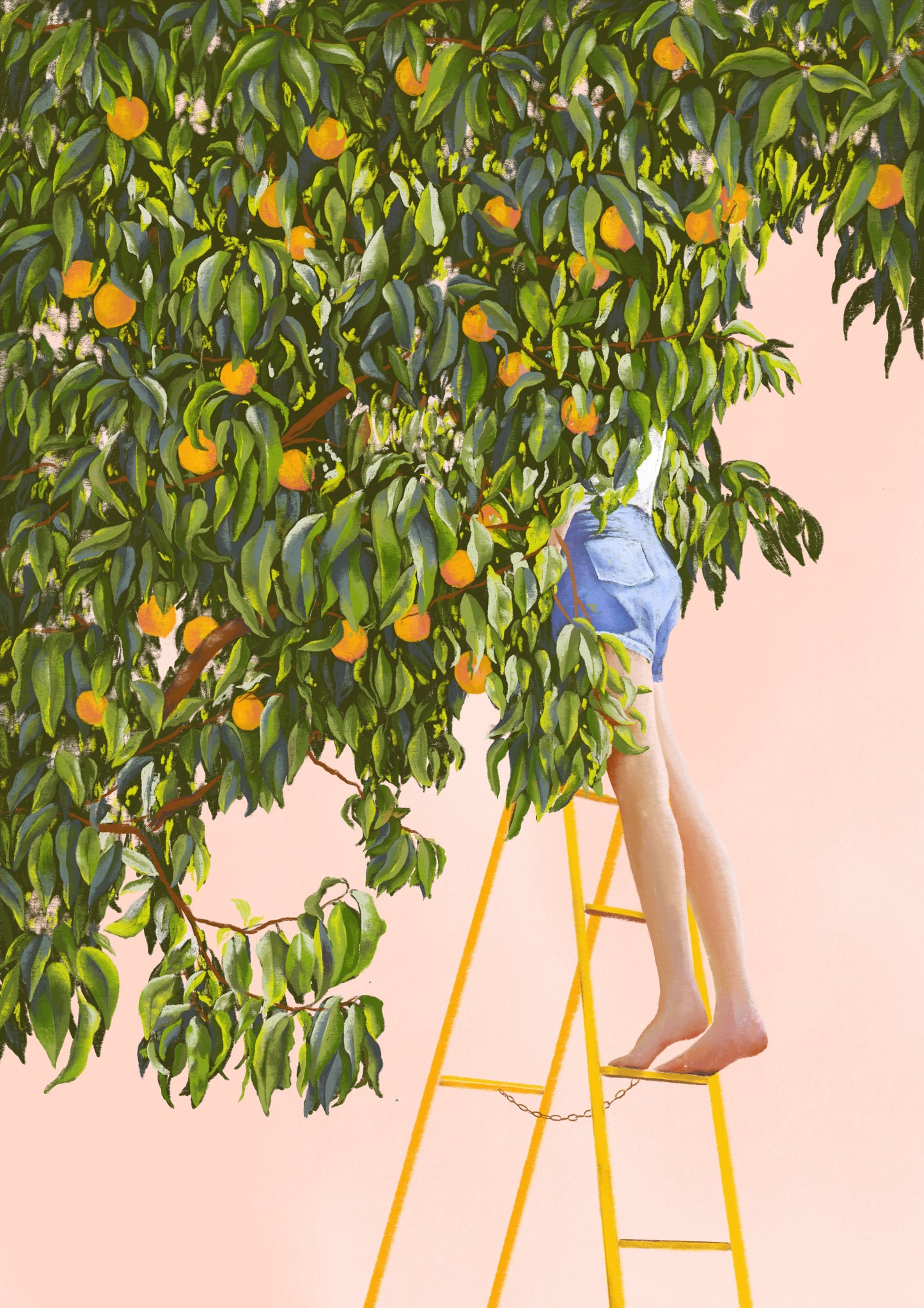 in the peach tree - art print