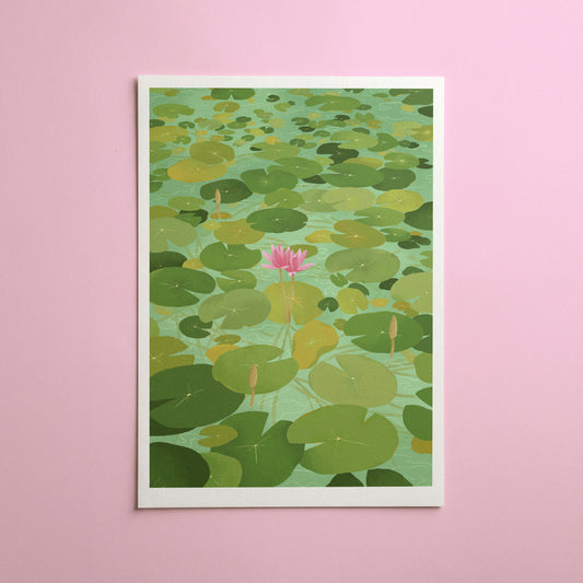 so the lily blooms - art print
