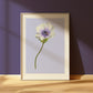 anemone stem - art print