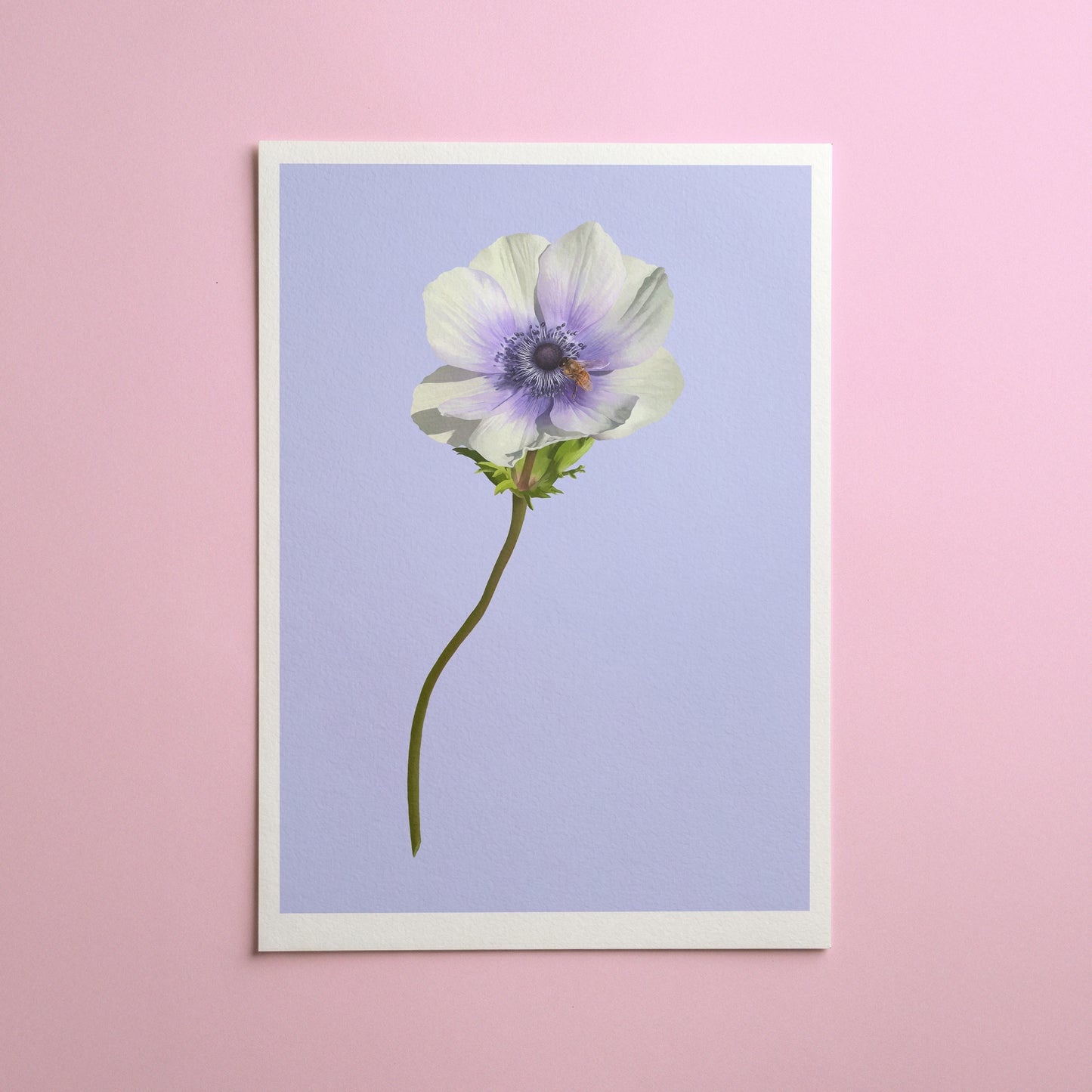 anemone stem - art print