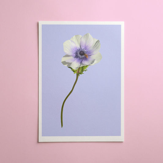 anemone stem - art print