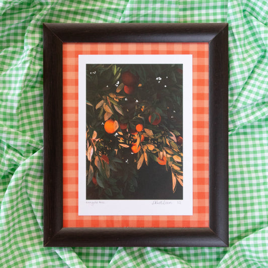 tangelo tree - framed art print