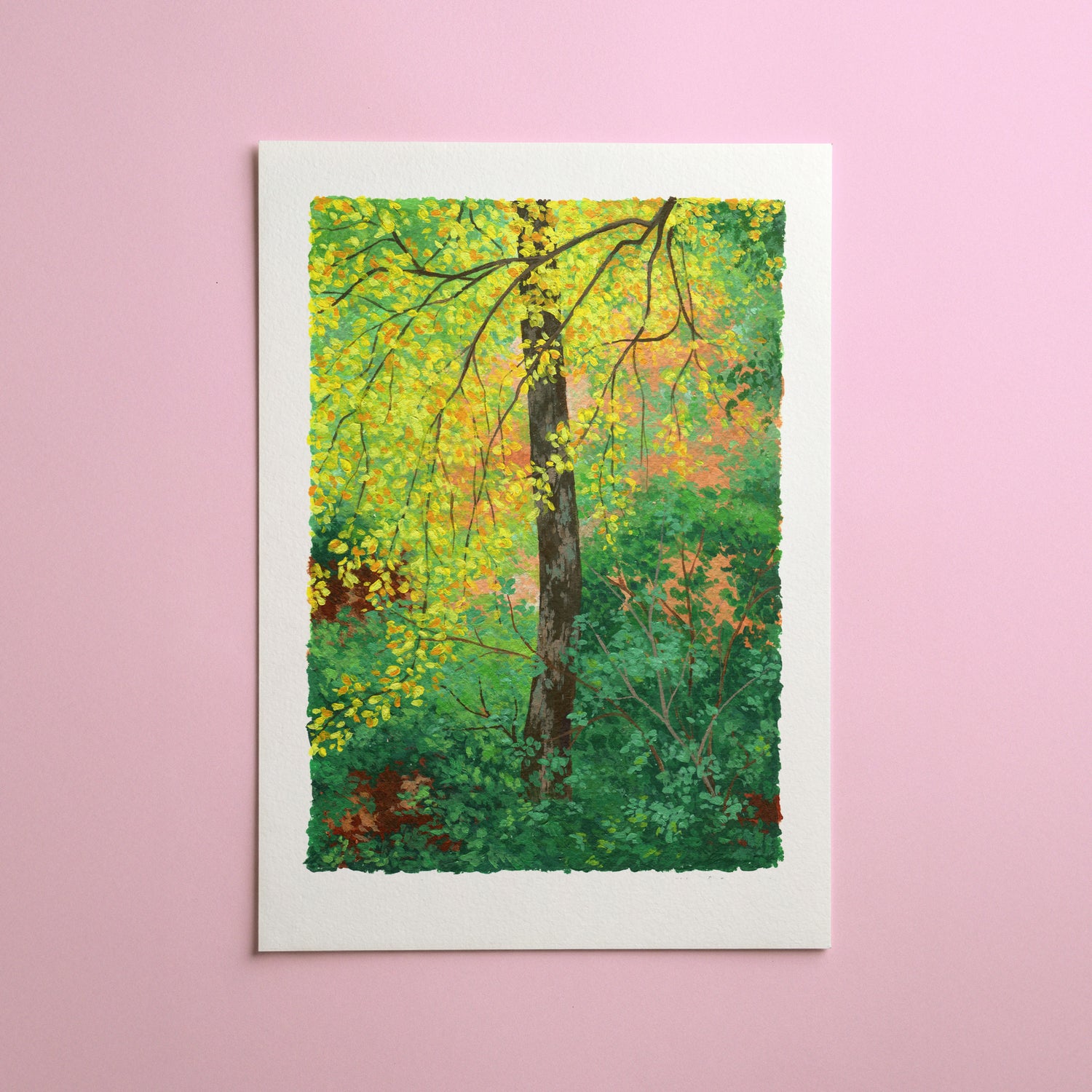 acrylic paintings