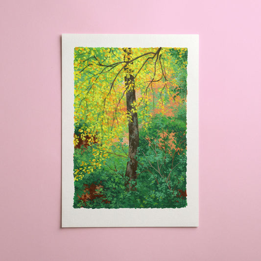 autumn glade - art print