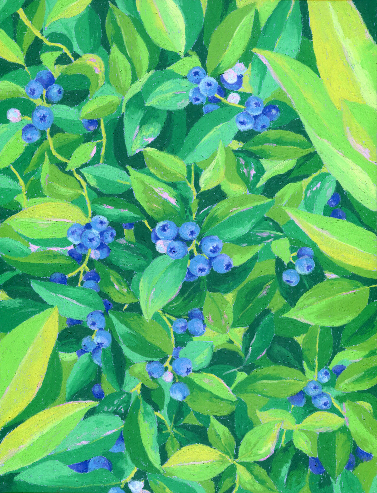 an abundance of blueberries - original artwork