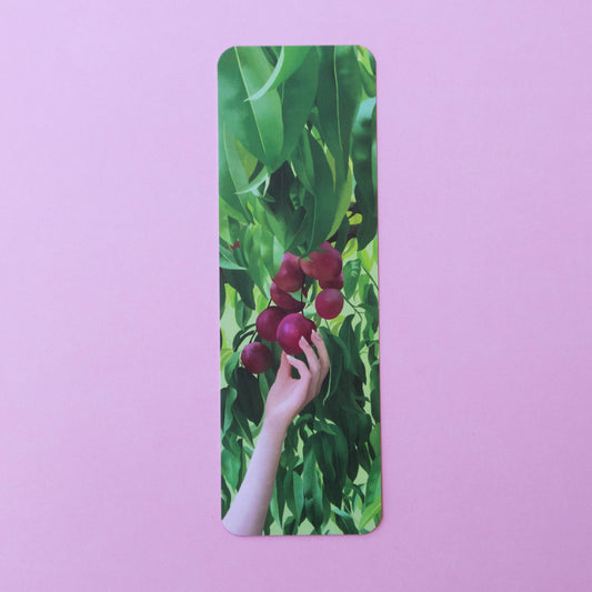 single bookmark - ripening nectarines