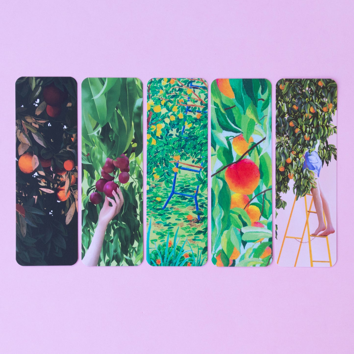 bookmark 5 pack - garden fruits