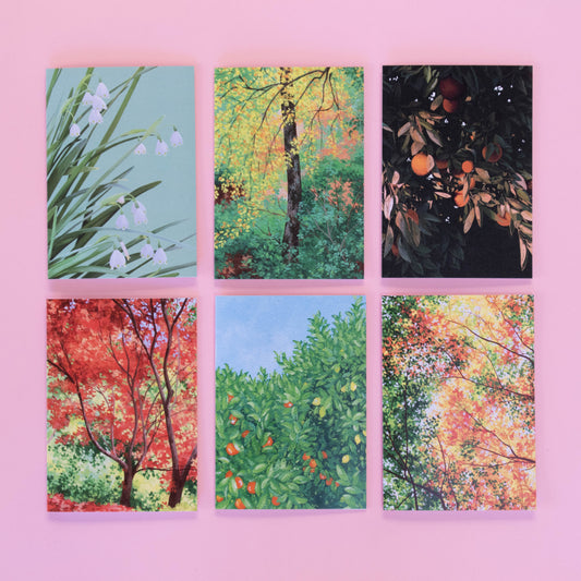 greeting card 6 pack - cool seasons