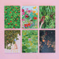 greeting card 6 pack - in the garden