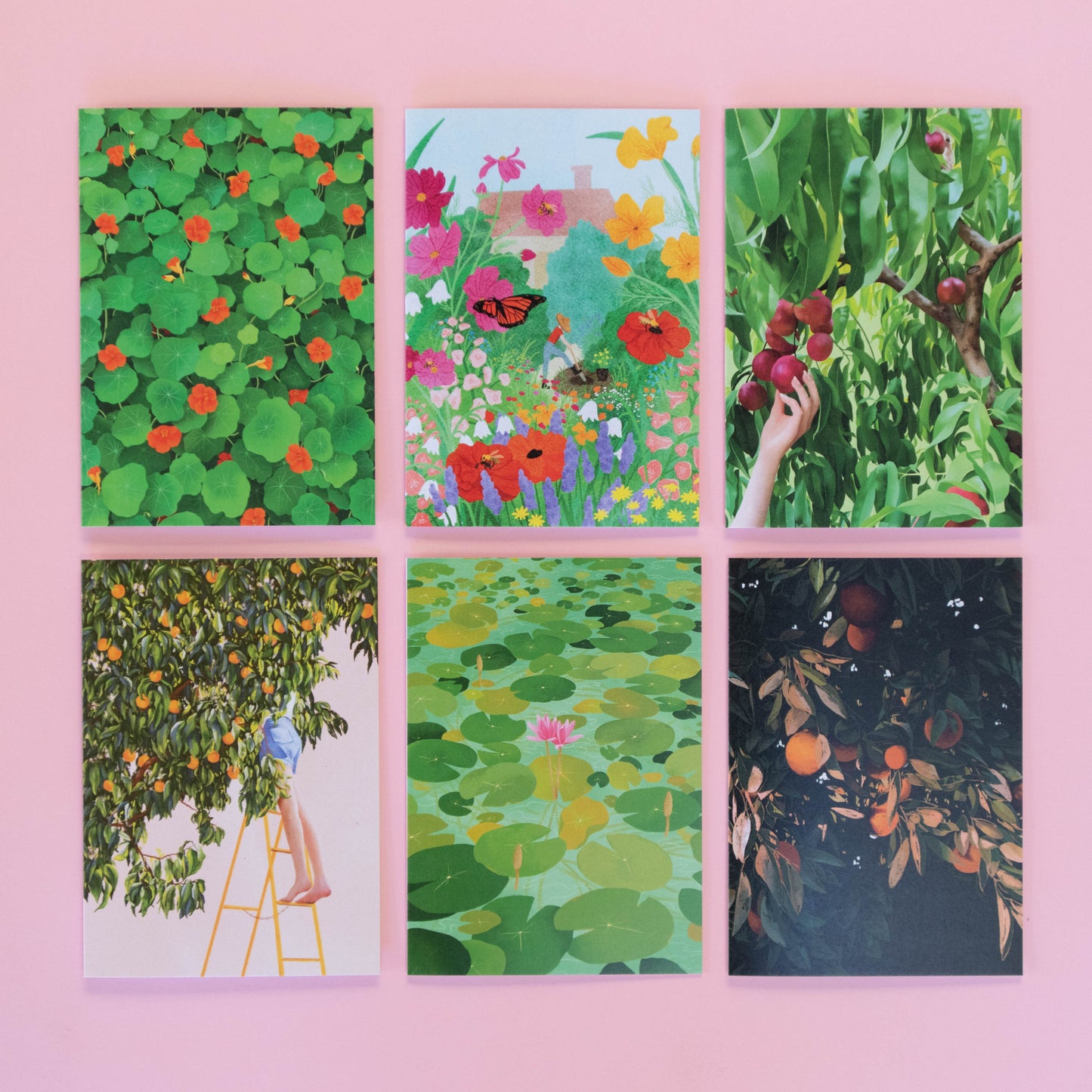 greeting card 6 pack - in the garden