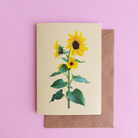 greeting card - sunflower stem