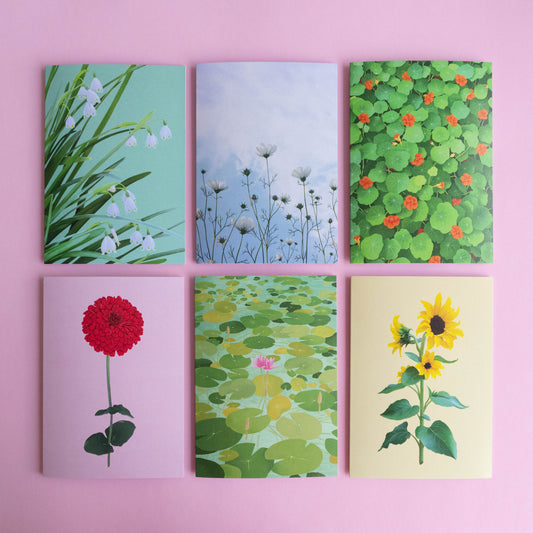 greeting card 6 pack - bloom