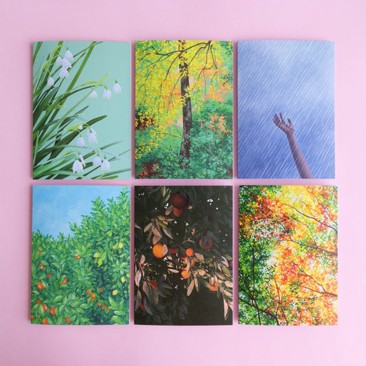 greeting card 6 pack - cool seasons