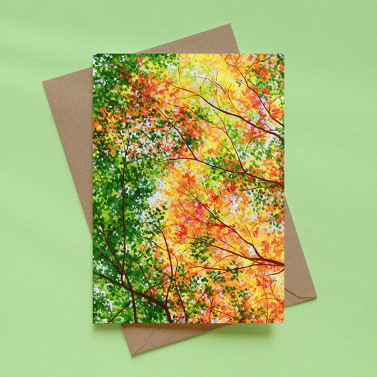 greeting card - the changing canopy