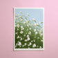 corn cockles in the wind - art print