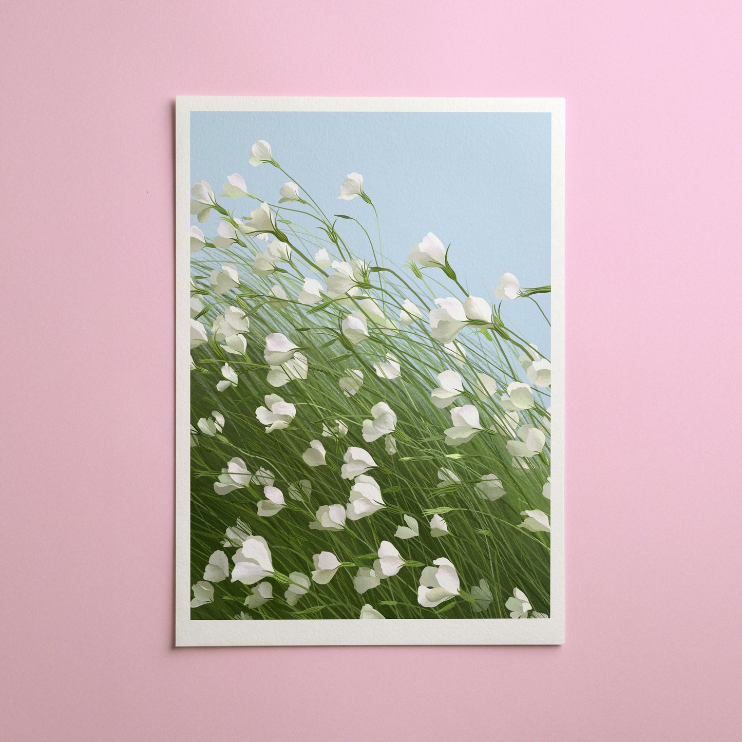 corn cockles in the wind - art print