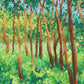 sunlight through the forest - framed original