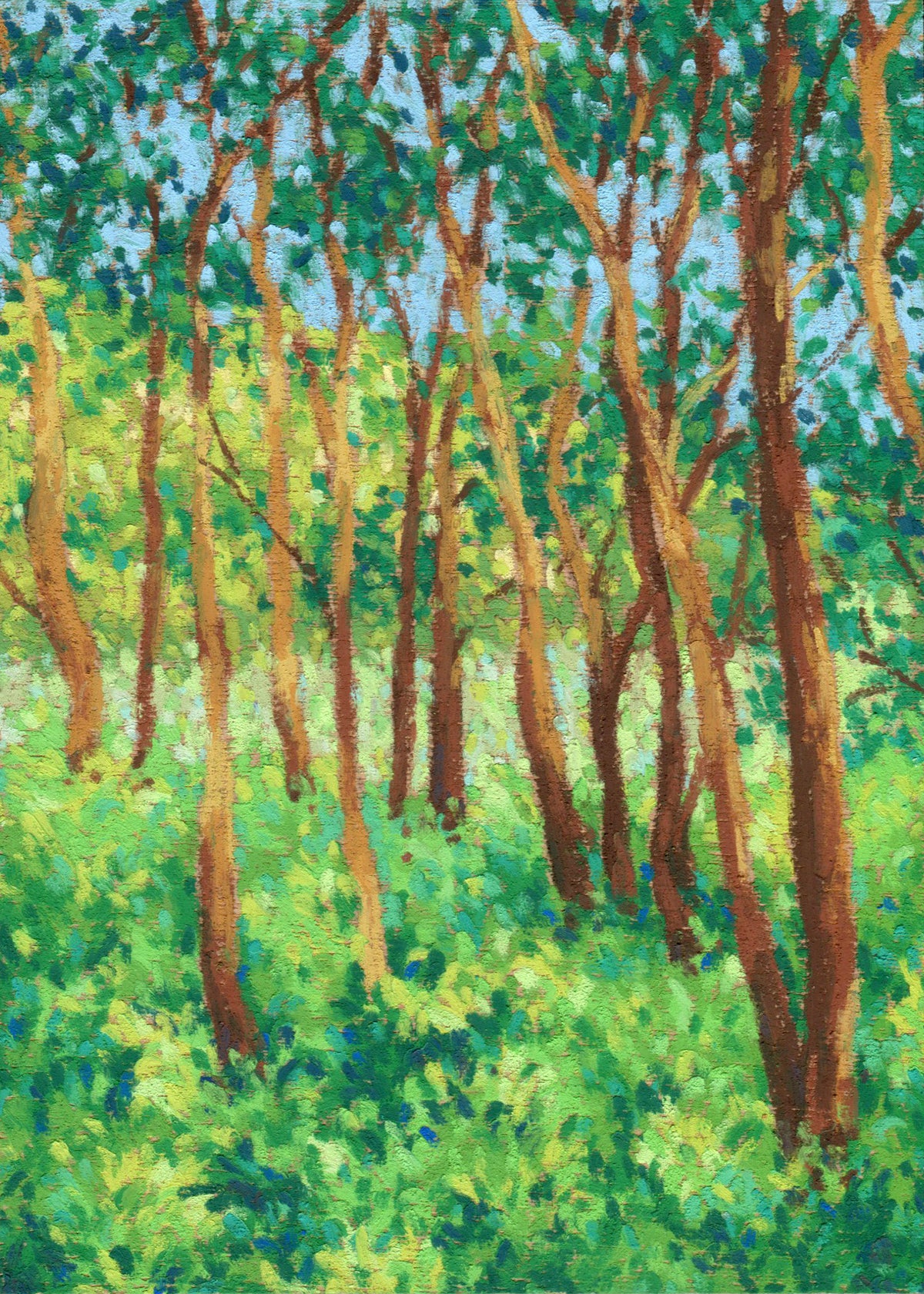 sunlight through the forest - framed original