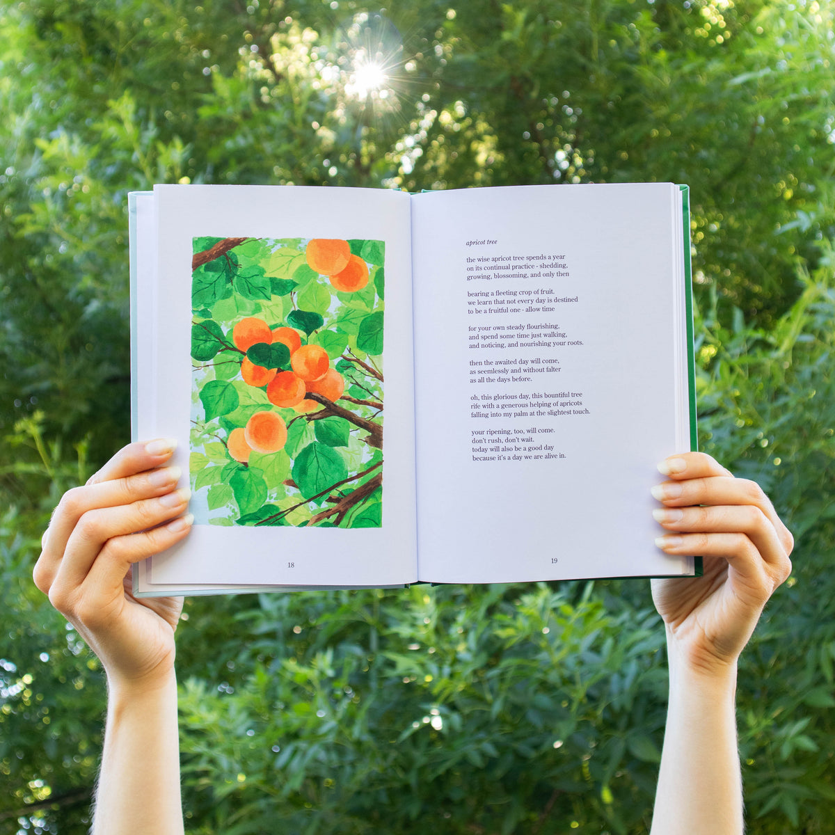 fleeting as a leaf - poetry book