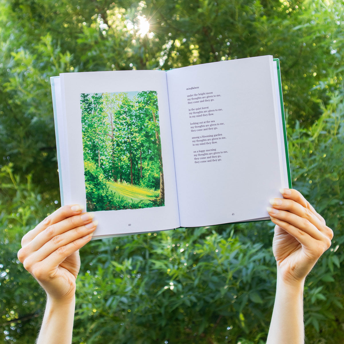 fleeting as a leaf - poetry book