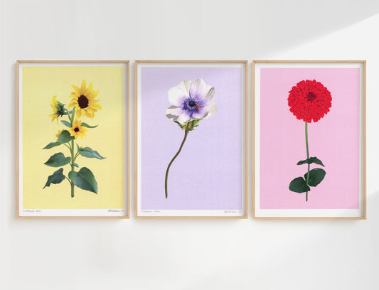 flower stems - art print trio