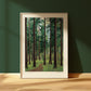 path through the forest - art print