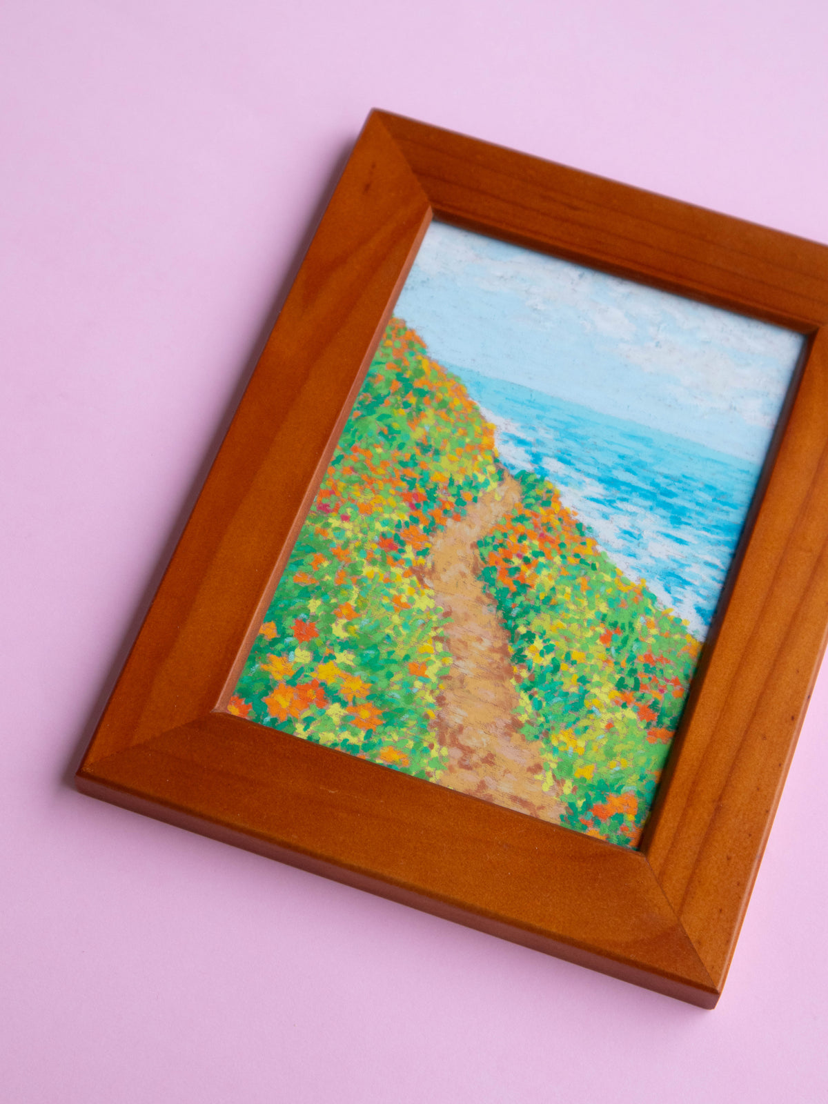 spring at carickalinga point - framed original