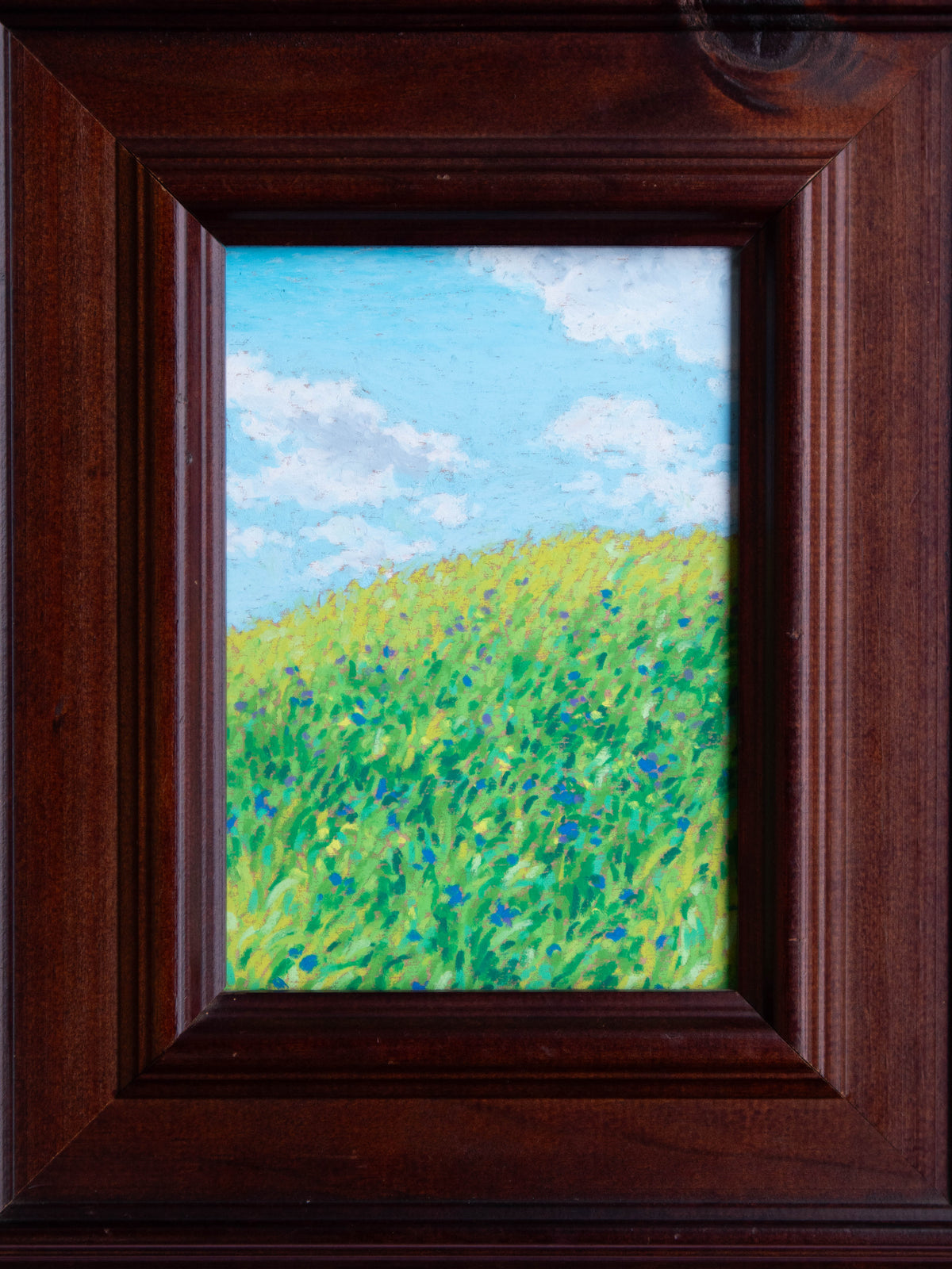 wildflowers on the hill - framed original